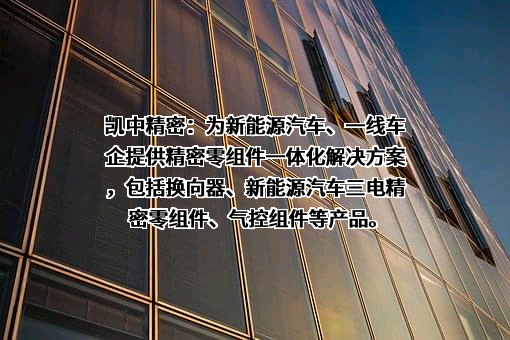 深圳市凯中精密技术股份有限公司