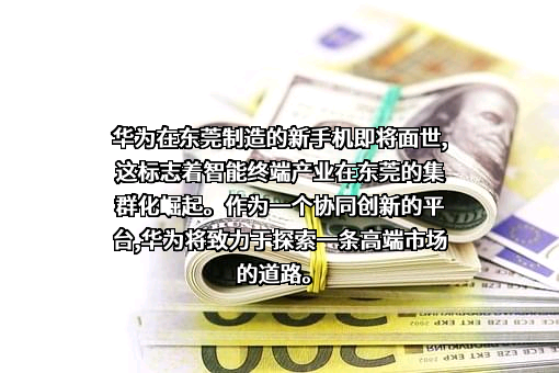 华为技术有限公司