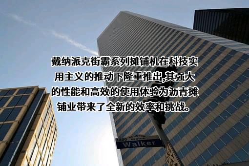 戴纳派克（中国）压实摊铺设备有限公司