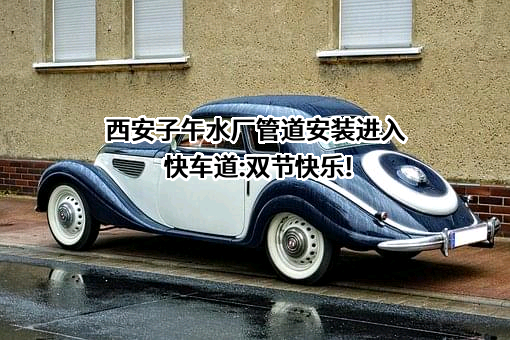 西安市长安区子午水厂有限责任公司