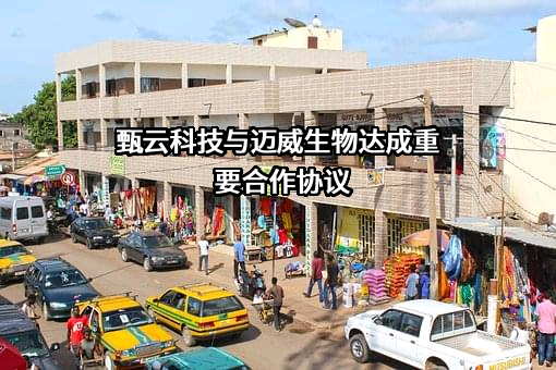 上海甄云信息科技有限公司
