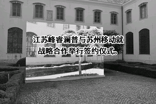 江苏峰睿澜普数字技术有限公司