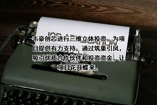 上海韦豪创芯投资管理有限公司
