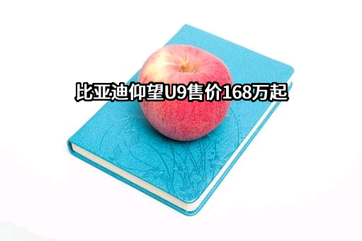 比亚迪股份有限公司
