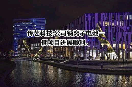 江苏传艺科技股份有限公司