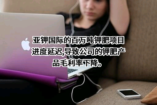 亚钾国际投资（广州）股份有限公司
