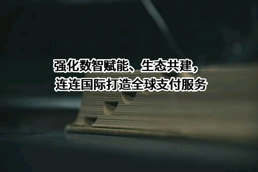连连数字科技股份有限公司