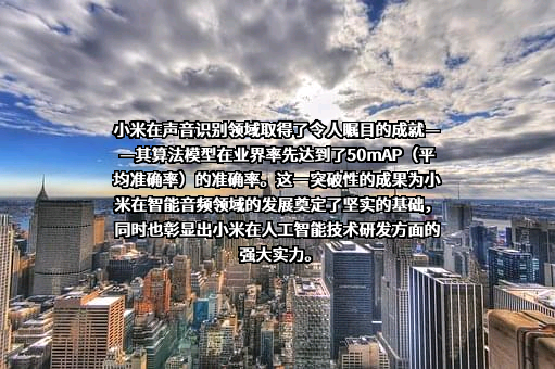 小米科技有限责任公司