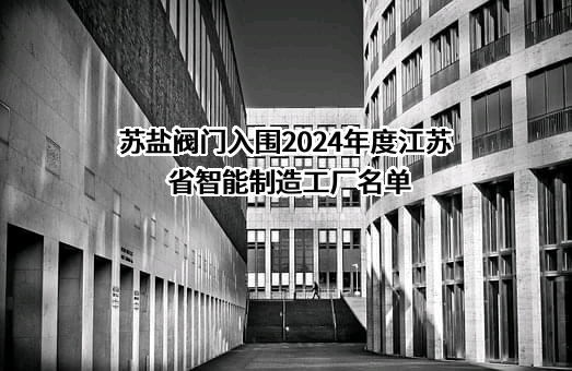 江苏苏盐阀门机械有限公司