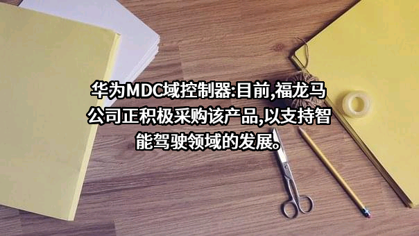 福龙马集团股份有限公司