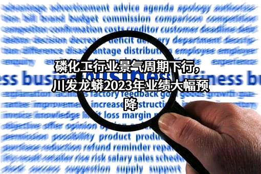 四川发展龙蟒股份有限公司