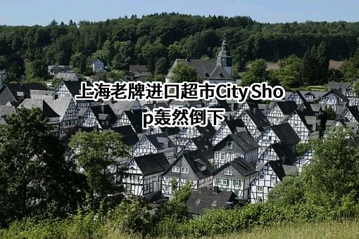 上海城市超市有限公司