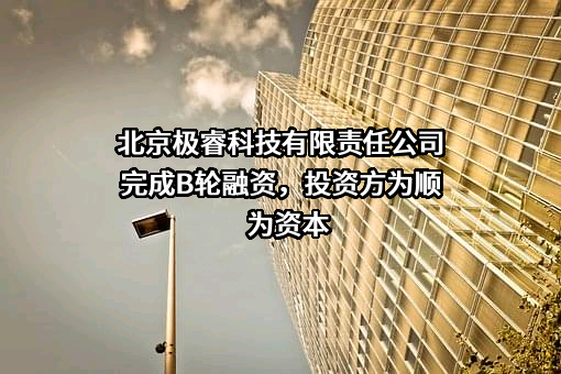 北京极睿科技有限责任公司
