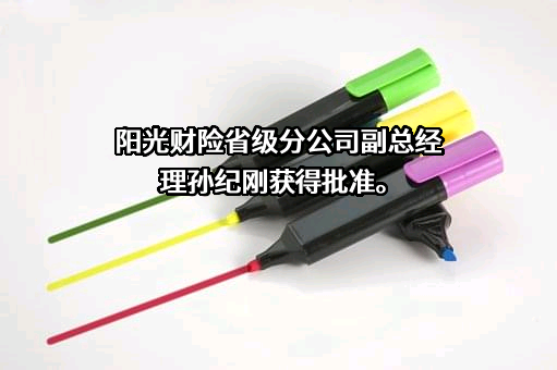 阳光财产保险股份有限公司