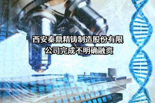 西安秦鼎精铸制造股份有限公司