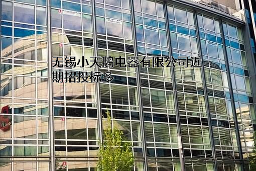 无锡小天鹅电器有限公司