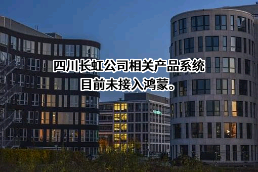 上海海思技术有限公司