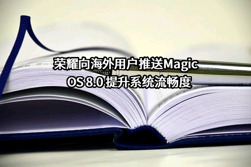 荣耀终端有限公司