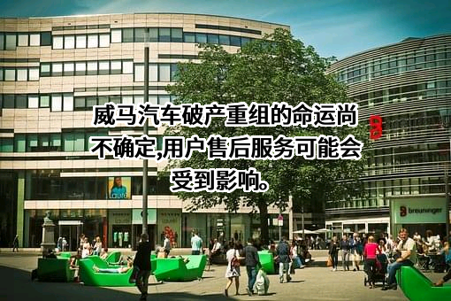 威马汽车科技集团有限公司