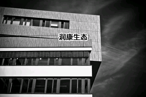 深圳润康生态环境股份有限公司