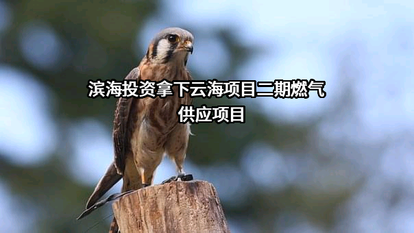 南京滨海燃气有限公司