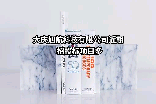 大庆旭航科技有限公司