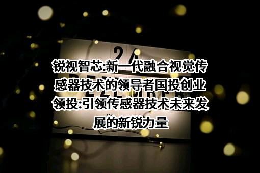 深圳锐视智芯科技有限公司