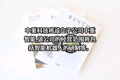 中重科技（江苏）有限公司