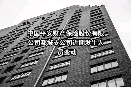 中国平安财产保险股份有限公司郯城支公司