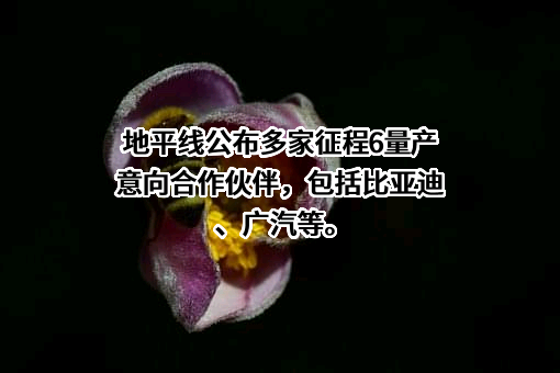 北京地平线机器人技术研发有限公司