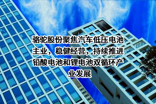 骆驼集团股份有限公司