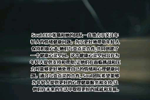 上海任意门科技有限公司