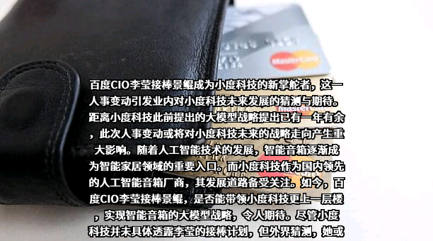 上海小度技术有限公司
