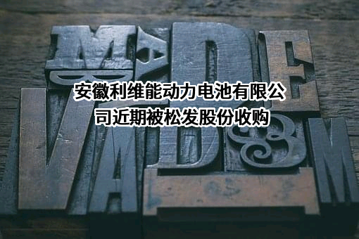 安徽利维能动力电池有限公司