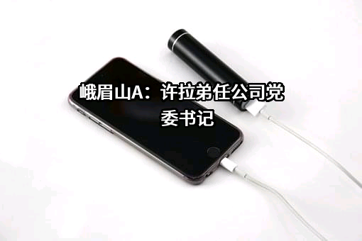 峨眉山旅游股份有限公司