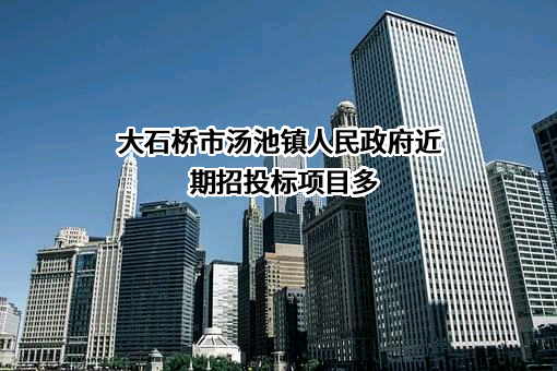 大石桥市汤池镇人民政府