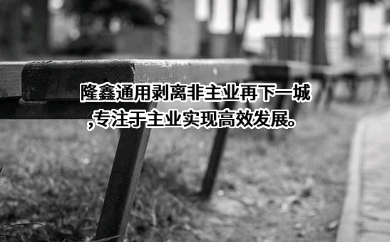 隆鑫通用动力股份有限公司
