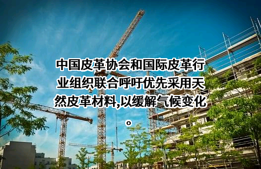 中国皮革协会