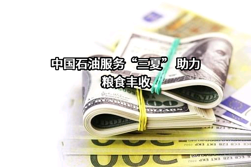 中国石油天然气股份有限公司