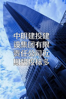中明建投建设集团有限责任公司