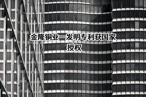 江西金隆铜业有限公司