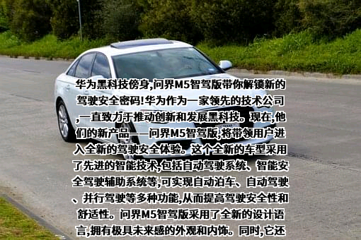 华为技术有限公司