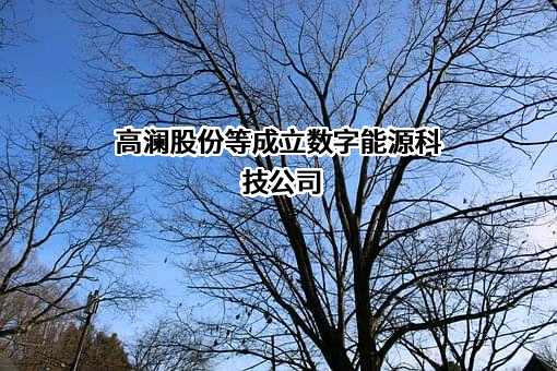 广州高澜节能技术股份有限公司