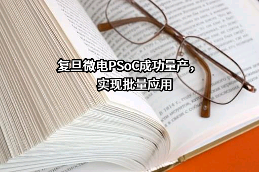 上海复旦微电子集团股份有限公司