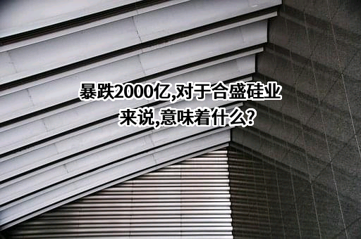 合盛硅业股份有限公司