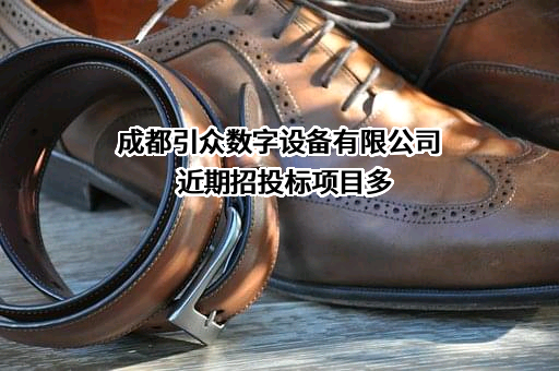 成都引众数字设备有限公司