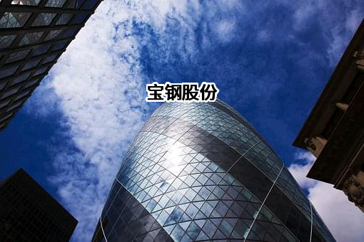 宝山钢铁股份有限公司