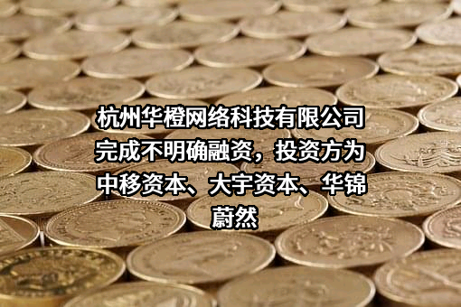 杭州华橙网络科技有限公司