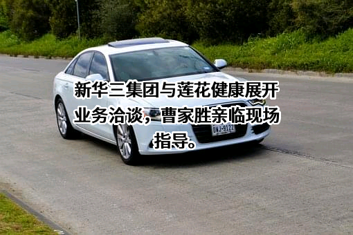 莲花健康产业集团股份有限公司
