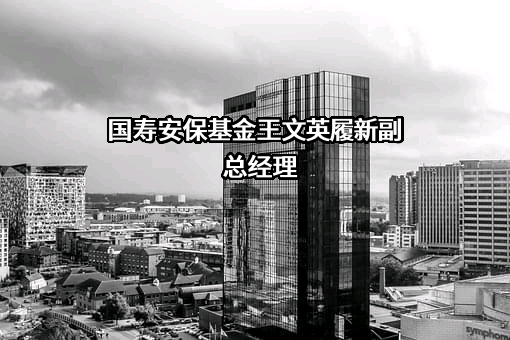 国寿安保基金管理有限公司